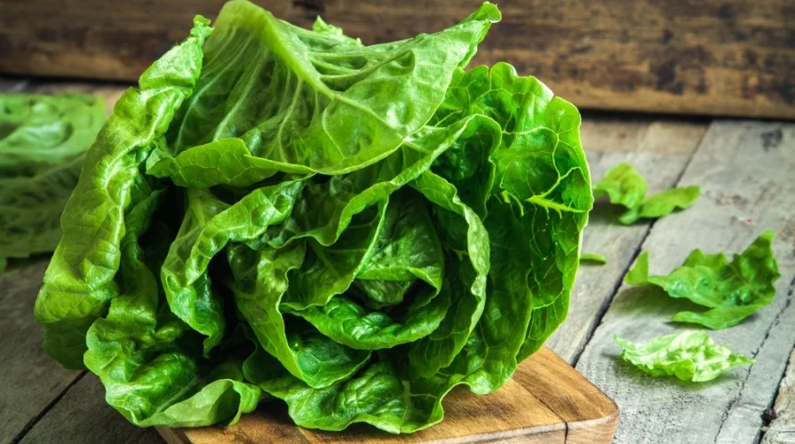 asciuga verdure professionale